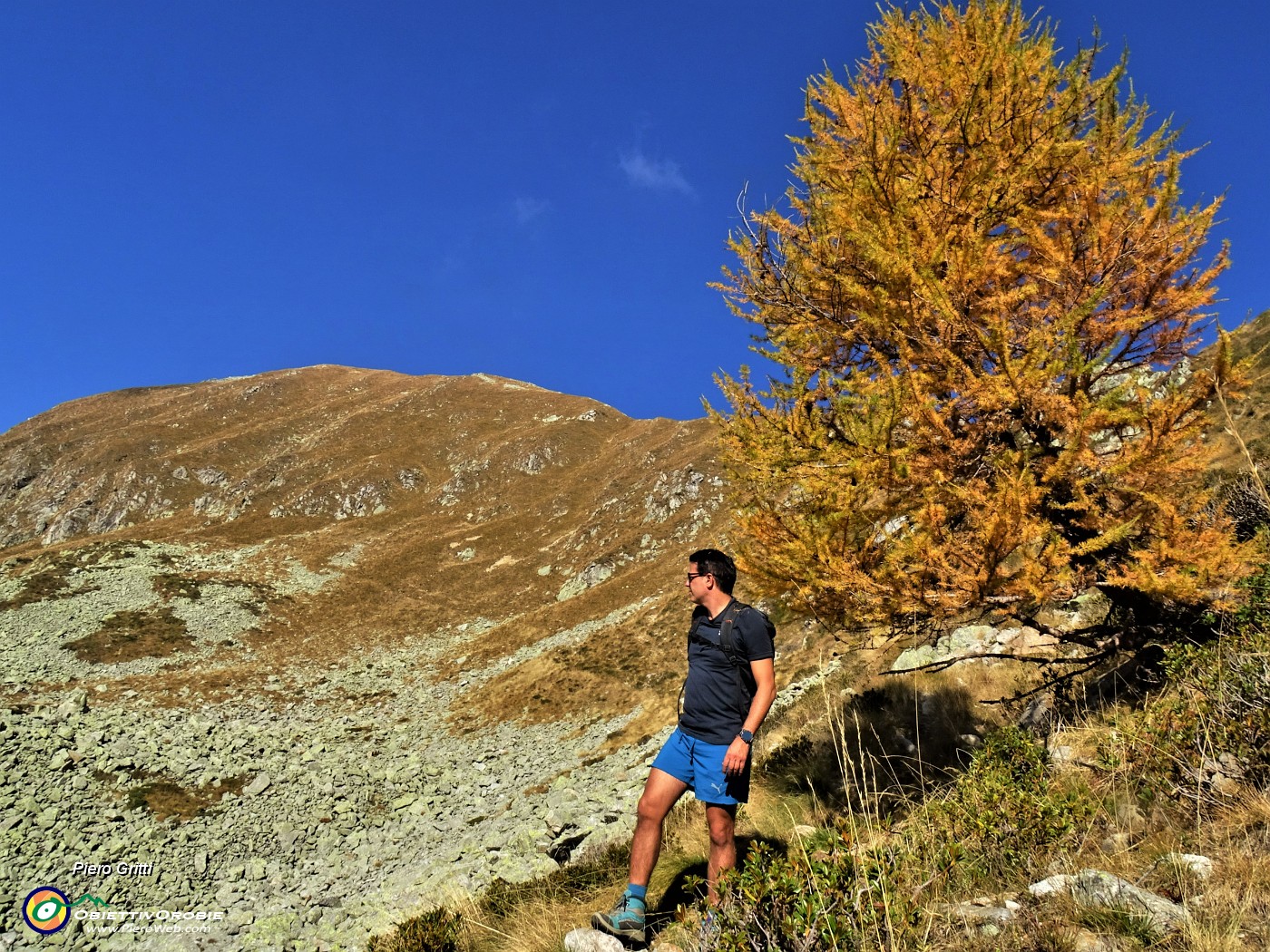 59 Larice solitario splendente d'autunno con vista sul Valegino.JPG